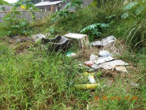 CRÉDITOS: Renato Amaro Goldschmidt.