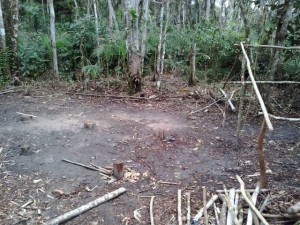 CRÉDITOS: Divulgação.