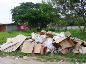 Municipes alegam descuido na separacao de lixo por parte dos coletores em Itapoa 6