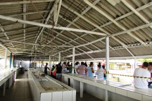 CRÉDITOS: Miguel Minotto/Blog Itapoá por Dentro.