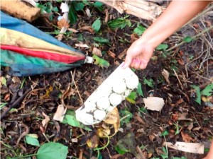 Print de vídeo do flagra de duas mulheres jogando lixo em terreno baldio na Barra do Sai em Itapoa