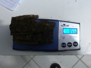 CRÉDITOS: Polícia Militar de Itapoá.