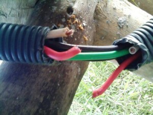 CRÉDITOS: Energiluz.