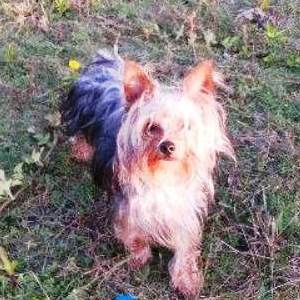 FOTO: Mara Cordeiro Souza.