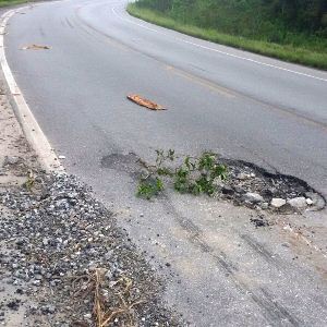 FOTO: Alessandra de Lima Rodrigues.