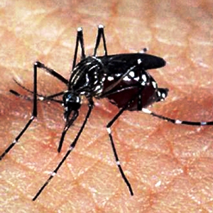 FOTO: Arquivo / Agência Brasil.