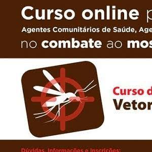 Interessados podem fazer curso online gratuito de combate ao Aedes aegypti - principal