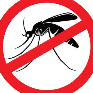 Palestra com orientacoes sobre o Aedes Aegypti sera promovida pelo posto do Samambaial Principal