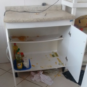 FOTO: Grupo Avança Itapoá.