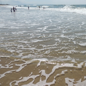 dezembro-teve-o-maior-indice-de-praias-de-sc-proprias-para-banho-em-tres-anos-principal