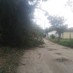 Estragos são causados por fortes ventos em Garuva, nessa quinta-feira, dia 17 de julho