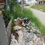 Munícipe Renato Goldschmidt reclama da grande quantidade de lixo espalhada por trecho de rua em Itapoá