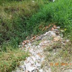 Munícipe Renato Goldschmidt reclama da grande quantidade de lixo espalhada por trecho de rua em Itapoá