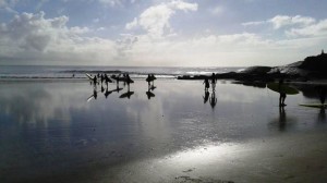 Site da Prefeitura de Itapoa divulga atividades do Projeto Ampliacao 06