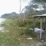 Matéria publicada na Gazeta de Itapoá denuncia invasão em área de restinga