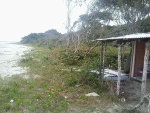 Matéria publicada na Gazeta de Itapoá denuncia invasão em área de restinga