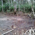 Matéria publicada na Gazeta de Itapoá denuncia invasão em área de restinga