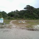 Matéria publicada na Gazeta de Itapoá denuncia invasão em área de restinga