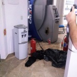 Caixa eletrônico é arrombado na sede da Prefeitura de Itapoá