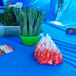 Dia 05 de outubro tem mais uma edição da Feira Livre de Itapoá