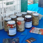 Dia 05 de outubro tem mais uma edição da Feira Livre de Itapoá