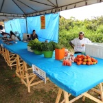 Realizada mais uma edição da Feira Livre de Itapoá para Produtores Rurais