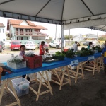 Realizada mais uma edição da Feira Livre de Itapoá para Produtores Rurais