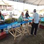 Realizada mais uma edição da Feira Livre de Itapoá para Produtores Rurais