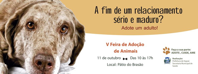 Banner da 5ª edição da Feira de Animais em Itapoá