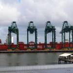 Itapoá embaca primeiro contêiner de carne suína do Brasil para os EUA