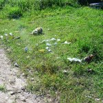 Municipes alegam descuido na separacao de lixo por parte dos coletores em Itapoa 1