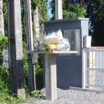 Municipes alegam descuido na separacao de lixo por parte dos coletores em Itapoa 4