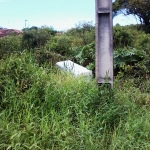 Polícia recupera vários objetos furtados escondidos em mata