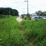 Polícia recupera vários objetos furtados escondidos em mata