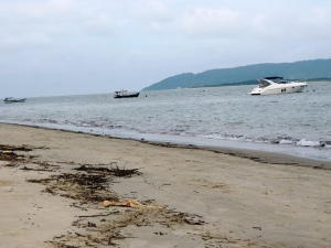 Prefeitura de Itapoá cadastra carroceiros para a limpeza de praia
