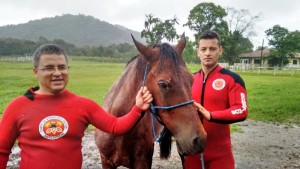 Bombeiros resgatam cavalo preso em margem de rio em Araquari