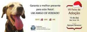 VII Feira de Adoção de Itapoá