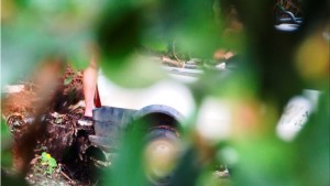 Print de vídeo do flagra de duas mulheres jogando lixo em terreno baldio na Barra do Saí em Itapoá