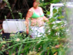 Print de vídeo do flagra de duas mulheres jogando lixo em terreno baldio na Barra do Saí em Itapoá