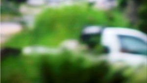 Print de vídeo do flagra de duas mulheres jogando lixo em terreno baldio na Barra do Saí em Itapoá