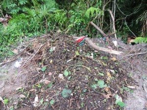 Descarte em terreno baldio da Barra do Saí em Itapoá
