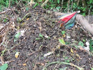 Descarte em terreno baldio da Barra do Saí em Itapoá