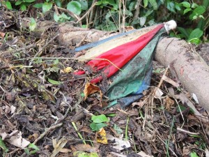 Descarte em terreno baldio da Barra do Saí em Itapoá