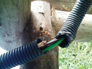 Vândalos danificam vários fios e deixam Deck da 3ª Pedra às escuras