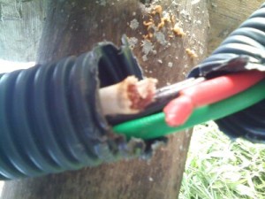 Vândalos danificam vários fios e deixam Deck da 3ª Pedra às escuras