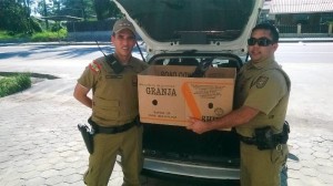 PM de Itapoá resgata pinguim ferido, na manhã dessa segunda-feira, dia 22 de junho