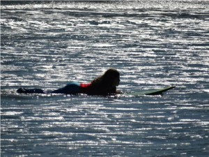Projeto Ampliação da Jornada Escolar inicia prática de bodyboard