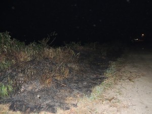Queimada destrói parte da vegetação beira-mar no balneário Paese