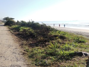 Queimada destrói parte da vegetação beira-mar no balneário Paese