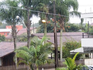 Semana começa com frio em todo o estado de Santa Catarina
